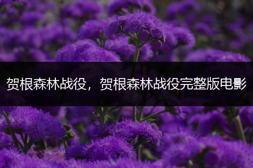 贺根森林战役,贺根森林战役完整版电影