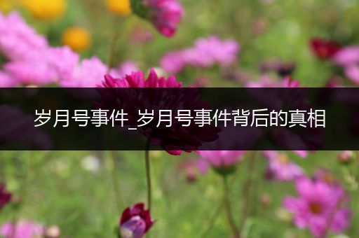 岁月号事件_岁月号事件背后的真相