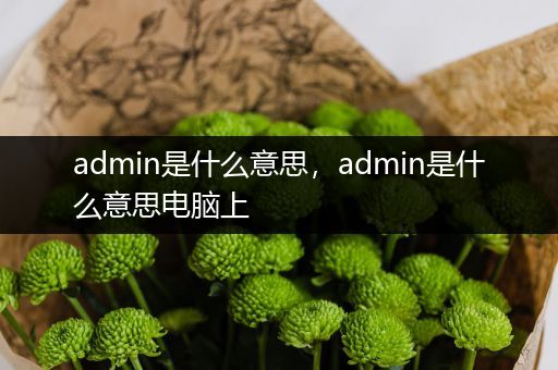 admin是什么意思,admin是什么意思电脑上