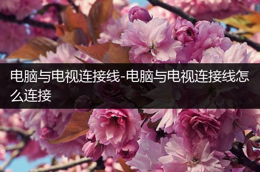 电脑与电视连接线-电脑与电视连接线怎么连接
