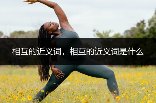 相互的近义词,相互的近义词是什么