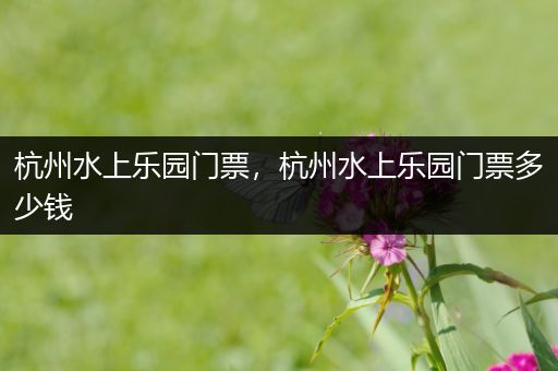 杭州水上乐园门票,杭州水上乐园门票多少钱