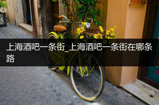 上海酒吧一条街_上海酒吧一条街在哪条路