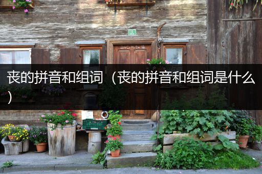 丧的拼音和组词(丧的拼音和组词是什么)