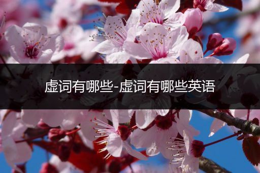 虚词有哪些-虚词有哪些英语