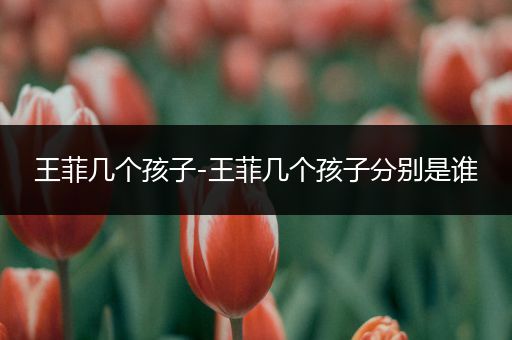 王菲几个孩子-王菲几个孩子分别是谁