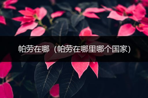 帕劳在哪(帕劳在哪里哪个国家)