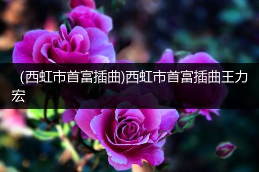 (西虹市首富插曲)西虹市首富插曲王力宏