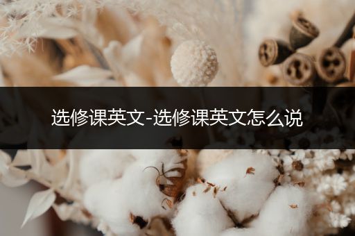 选修课英文-选修课英文怎么说