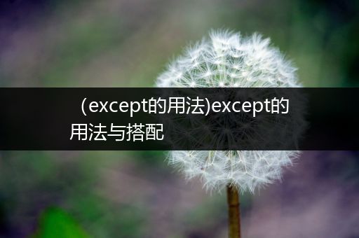 (except的用法)except的用法与搭配
