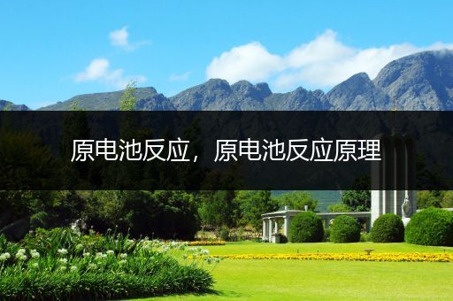 原电池反应,原电池反应原理