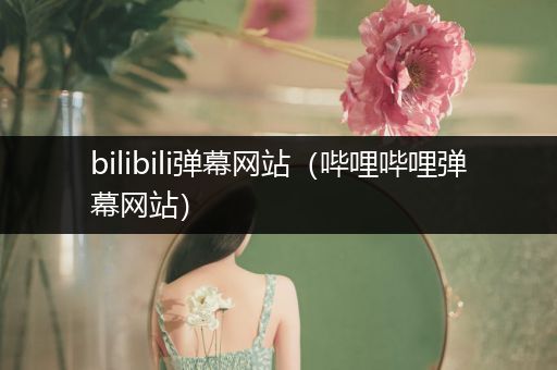 bilibili弹幕网站(哔哩哔哩弹幕网站)