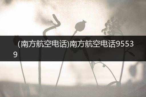 (南方航空电话)南方航空电话95539