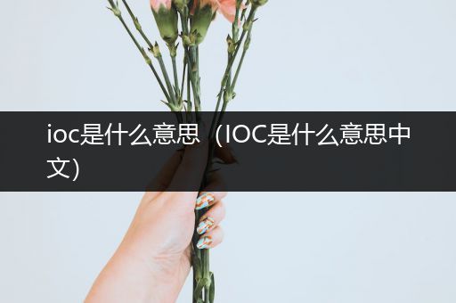 ioc是什么意思(IOC是什么意思中文)