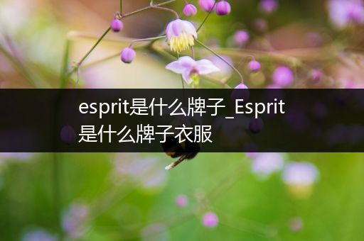 esprit是什么牌子_Esprit是什么牌子衣服