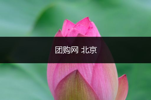团购网 北京
