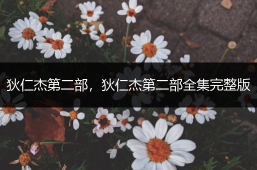 狄仁杰第二部,狄仁杰第二部全集完整版