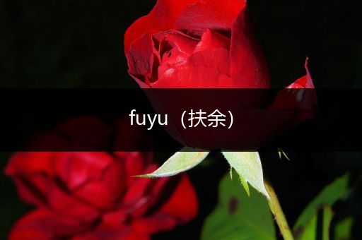 fuyu(扶余)