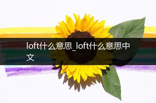 loft什么意思_loft什么意思中文