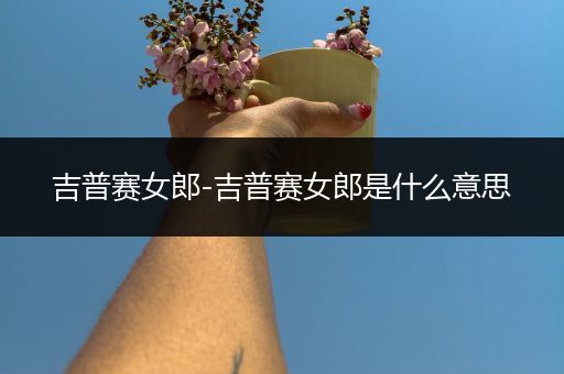 吉普赛女郎-吉普赛女郎是什么意思