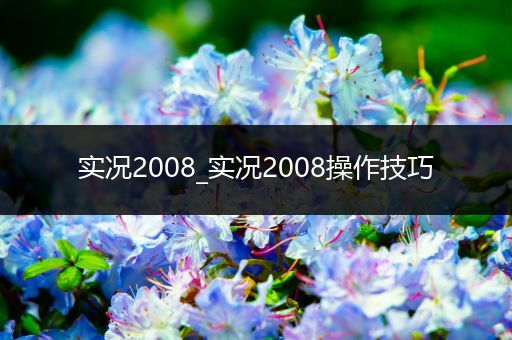 实况2008_实况2008操作技巧