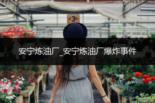 安宁炼油厂_安宁炼油厂爆炸事件
