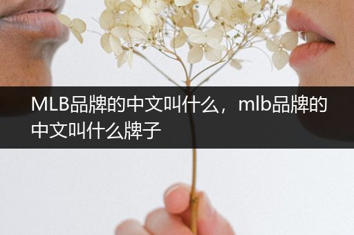 MLB品牌的中文叫什么,mlb品牌的中文叫什么牌子