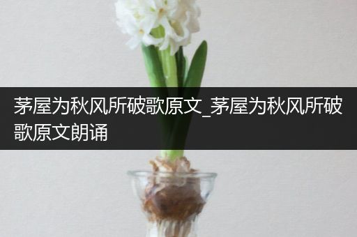 茅屋为秋风所破歌原文_茅屋为秋风所破歌原文朗诵