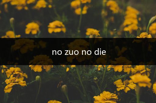 no zuo no die
