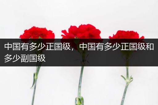 中国有多少正国级,中国有多少正国级和多少副国级