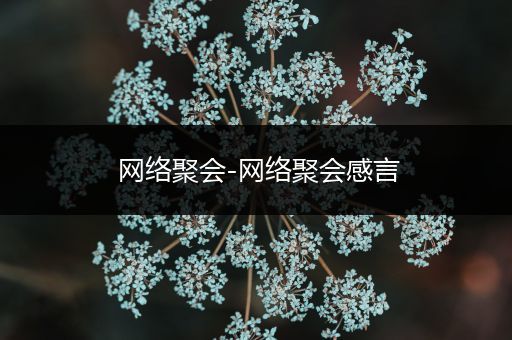 网络聚会-网络聚会感言