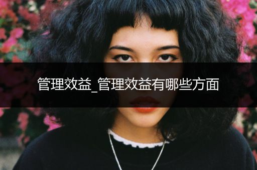 管理效益_管理效益有哪些方面