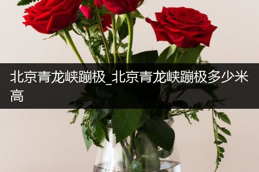 北京青龙峡蹦极_北京青龙峡蹦极多少米高