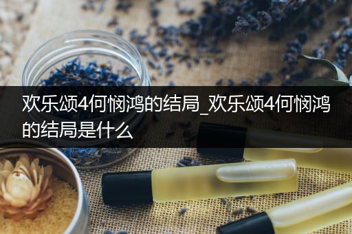 欢乐颂4何悯鸿的结局_欢乐颂4何悯鸿的结局是什么
