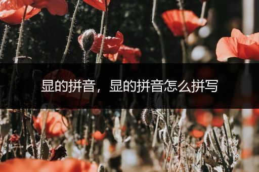 显的拼音,显的拼音怎么拼写