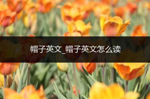 帽子英文_帽子英文怎么读