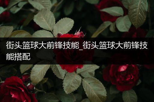街头篮球大前锋技能_街头篮球大前锋技能搭配