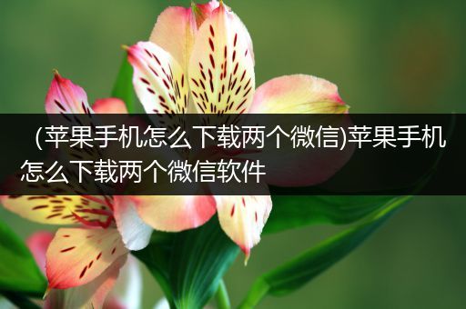 (苹果手机怎么下载两个微信)苹果手机怎么下载两个微信软件