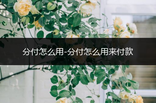 分付怎么用-分付怎么用来付款