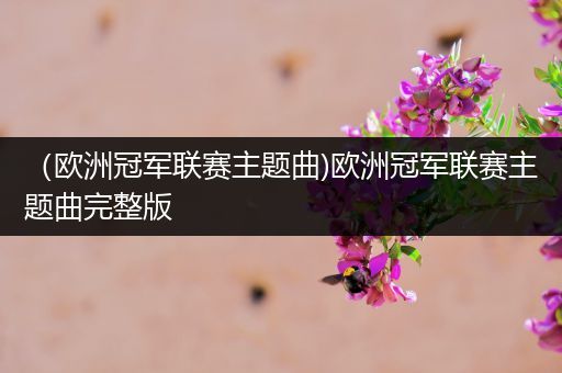 (欧洲冠军联赛主题曲)欧洲冠军联赛主题曲完整版
