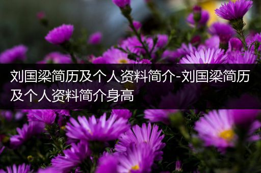 刘国梁简历及个人资料简介-刘国梁简历及个人资料简介身高