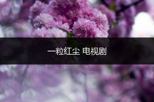 一粒红尘 电视剧