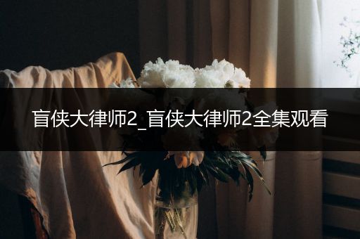 盲侠大律师2_盲侠大律师2全集观看