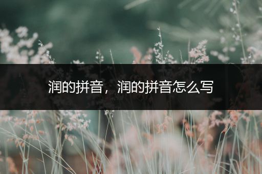 润的拼音,润的拼音怎么写