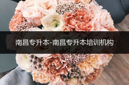 南昌专升本-南昌专升本培训机构