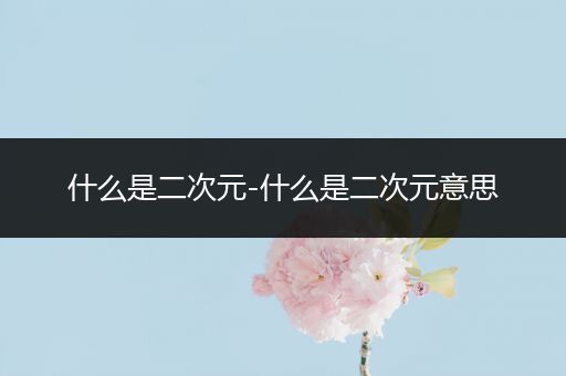 什么是二次元-什么是二次元意思
