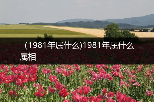 (1981年属什么)1981年属什么属相