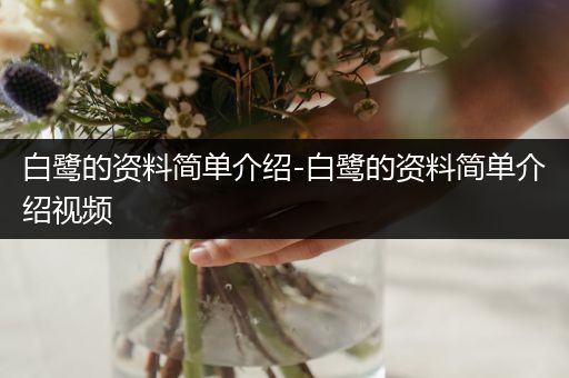 白鹭的资料简单介绍-白鹭的资料简单介绍视频