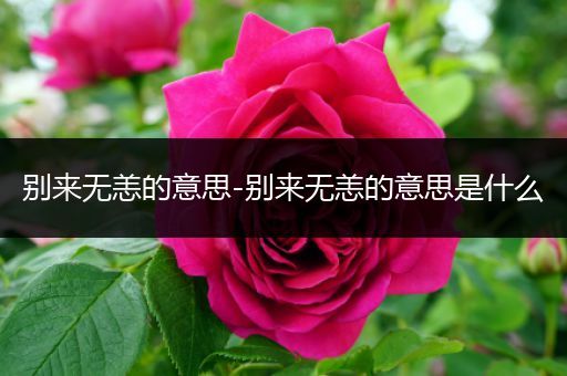 别来无恙的意思-别来无恙的意思是什么