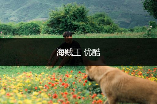 海贼王 优酷